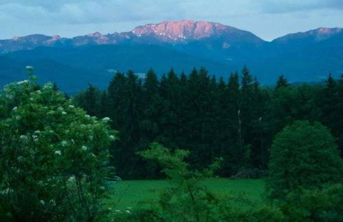 Jagdhaus Nantesbuch Comfortable holiday residence - Foto 6