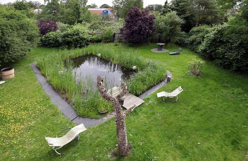 Ferienwohnung am Schwimmteich 2 - Photo 11