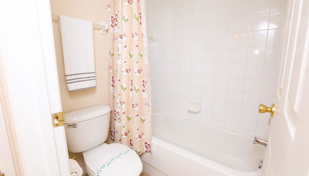 Disney Area Executive Plus Homes - Photo 4