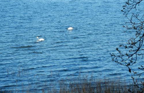 Apartments Sonne am Sund - Photo 76