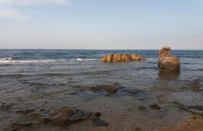 Relaxing Garden Stay, Denia - Foto 35