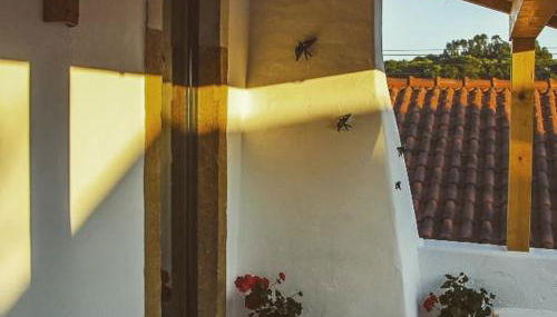 CASA ANDORINHAS - Foto 1