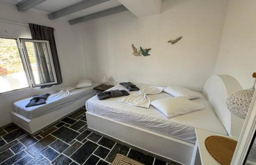 Ergina Studios - Foto 48