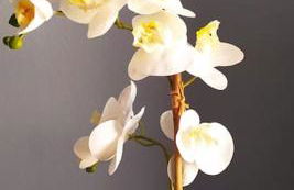 La casa di Anna, appartamento trilocale con balcone e garage - Foto 17