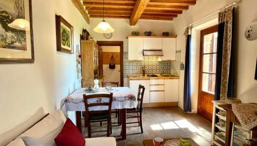 Podere Morena with sea view, private garden, by ToscanaTour Luca - Foto 4, Garden, Garden view