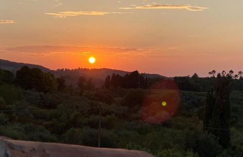 Tony's Home - Foto 33