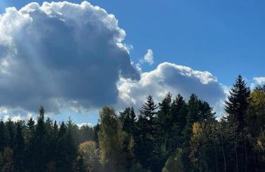 Niedźwiedzi Zakątek - Foto 40