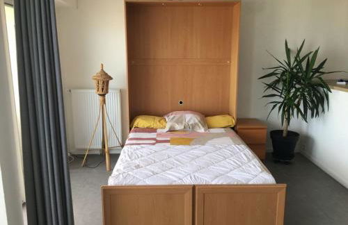 Anglet sables d'or - vue océan - Foto 21