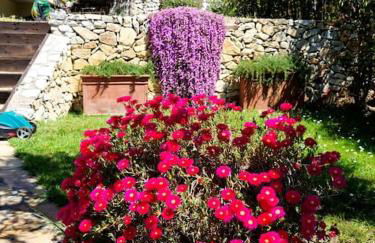 Villa Villacolle - Photo 8