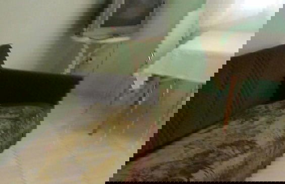 Sutomore View - Foto 5