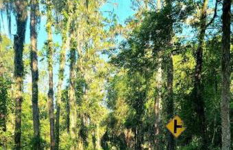 Lake house to relax and rest - Foto 22