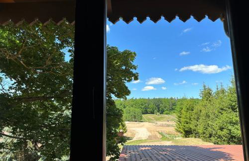 Stajnia Lipowo 45 - Foto 29