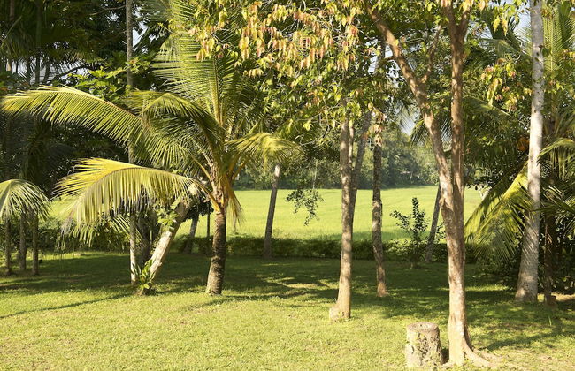 Ivory House - Foto 49