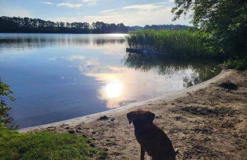 Ferienhaus Bootsmann - Foto 7