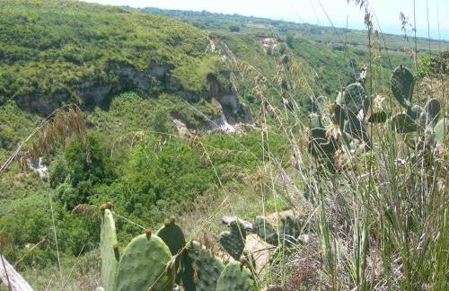 Azienda Agrituristica Caridà - Foto 101