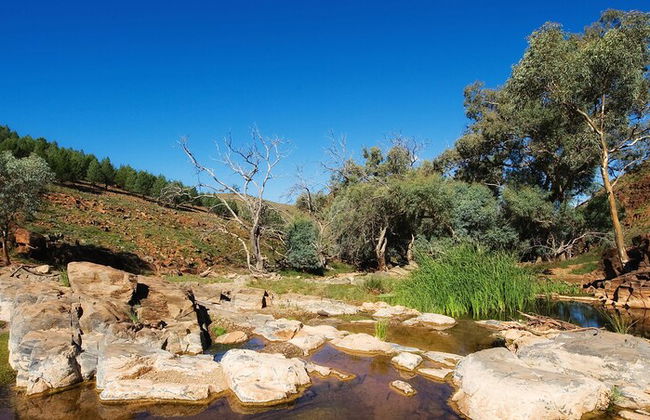 Skytrek Willow Springs Station - Foto 68