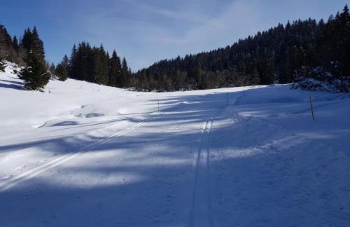 Au Platelet numéro 144 - Foto 8