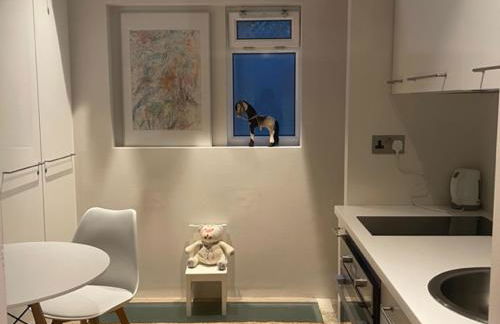 Modern self-contained Ground and Basement studios - Foto 11