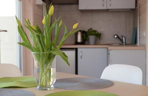 Domki Filandia - Foto 11