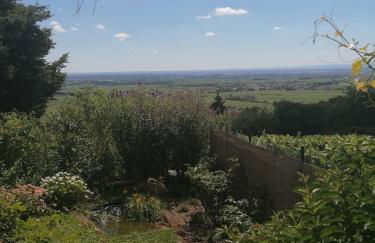 Weinstrassenblick - Foto 15