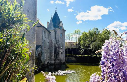 Chateau de la Preuille Gites - Foto 1