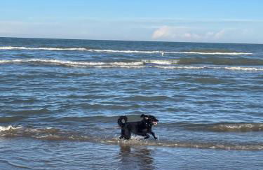 La casa di Alice - Casa Natura - Foto 40