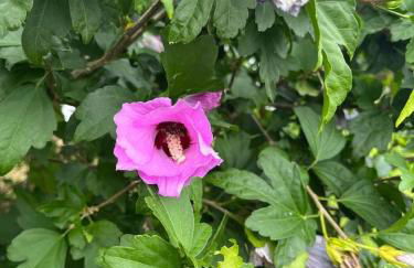 Ferienhaus Liebenstein - Foto 22