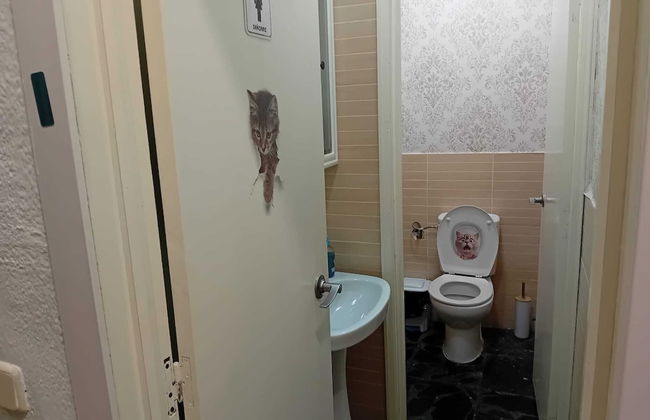 el cielo madrid - Foto 9