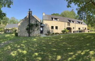 Les hortensias - Foto 15