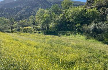 Apartamento RUTA DEL VELETA - Foto 41