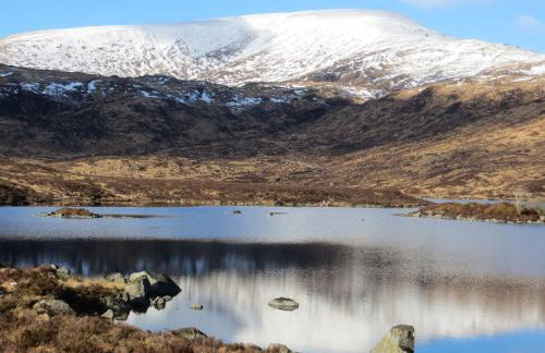 Rusko Stables - Foto 19