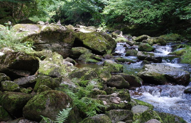 Attractive Apartment in Haidmuhle - Foto 20