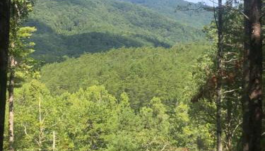 Mountain-top Cabin Get-away with Hot tub and a View - Foto 5