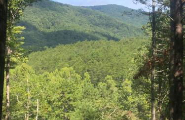 Mountain-top Cabin Get-away with Hot tub and a View - Foto 5