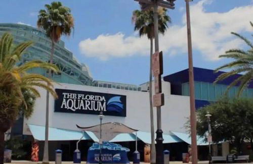 Urban Chic 1BR Downtown Tampa Pool & Balcony Views - Foto 21