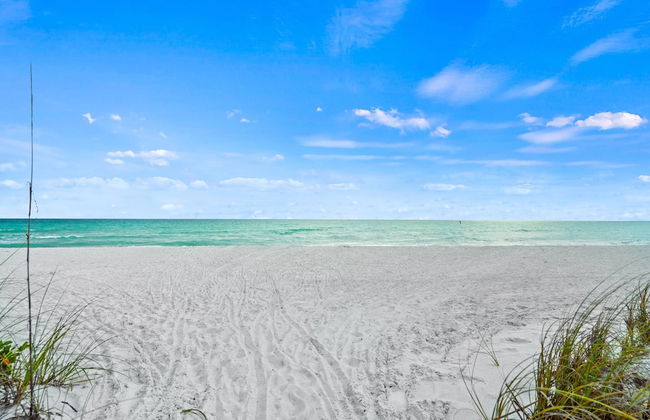 Kingston Arms Modern 1BR On Lido Key - Foto 30