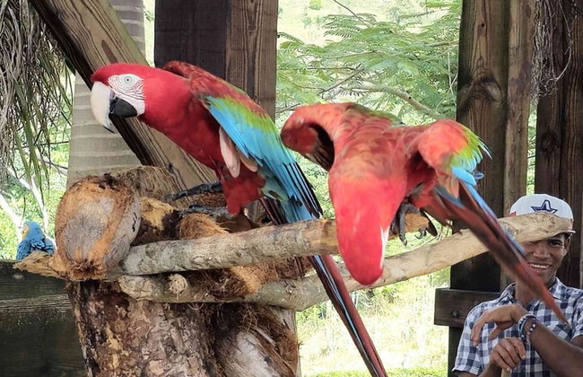 La Hacienda Adventure Park with Buffet Lunch - Full-Day Tour - Foto 6