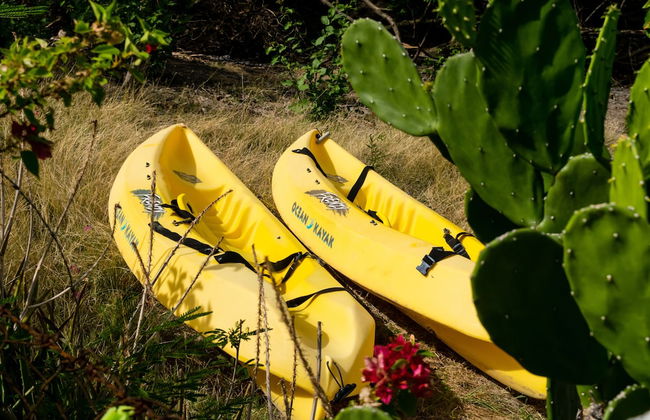 Bogles Round House - Foto 14