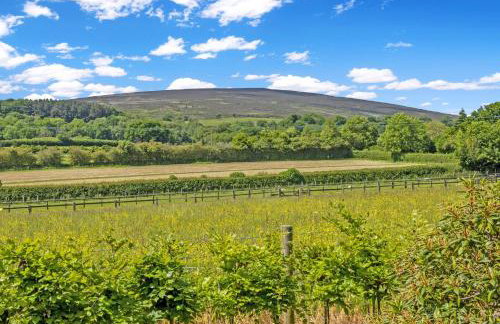 Dunkery View Wootton Courtenay - Foto 8