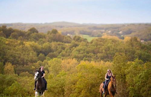 La Petite Maison du Moulin - Photo 16