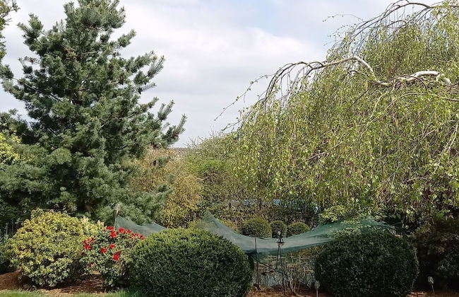 Ferienhaus Paula in Haserich im Hunsrueck - Foto 30