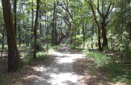 Beach Haven, 600 feet from the Beach !! - Foto 10