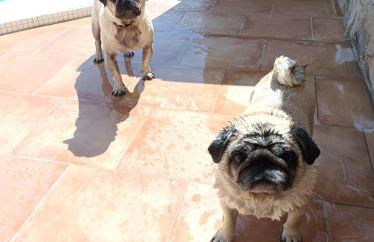 Apartment Costa Blanca - Foto 36