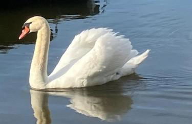Golfplatz Motzen-Apartment mit Aussicht und vielem Komfort - Foto 21