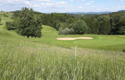 Ferienwohnung Bauchert - Photo 7