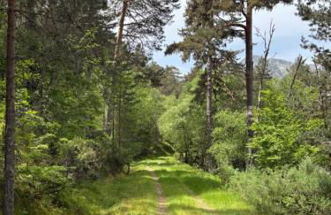 Alojamiento esqui montaña Cofiñal - Foto 9