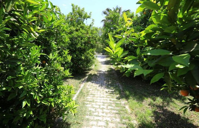 Ikiz Villas - Foto 70