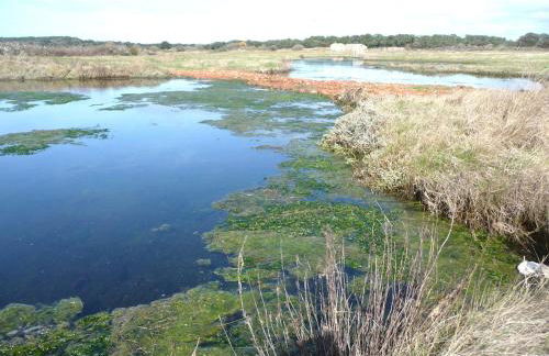 Le Petit Bois Vert - Foto 16
