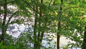 Kleine Auszeit - Foto 5