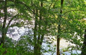 Kleine Auszeit - Foto 5